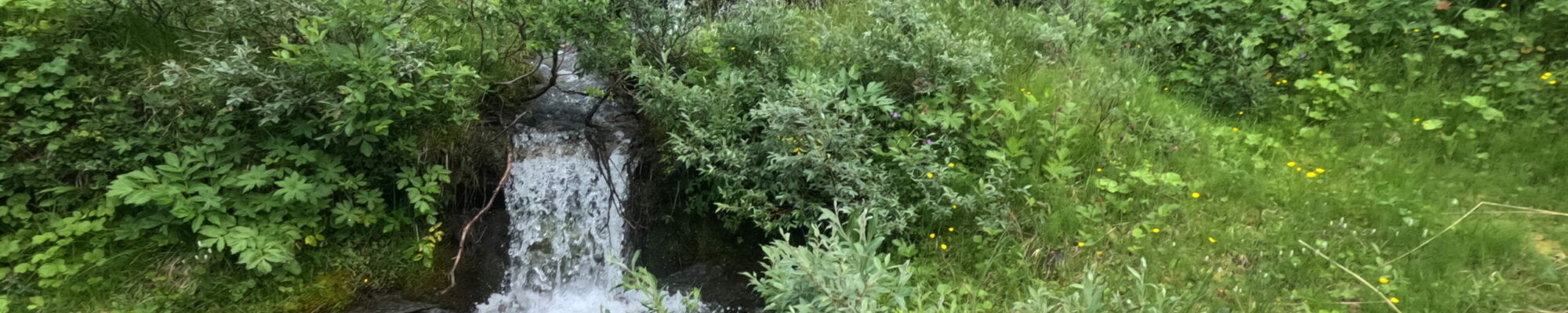Tag 83 (8. August)
